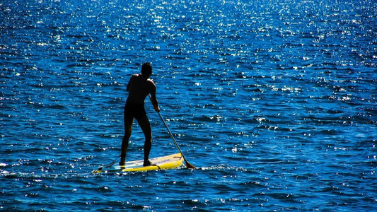 Paddle Board Tour 2