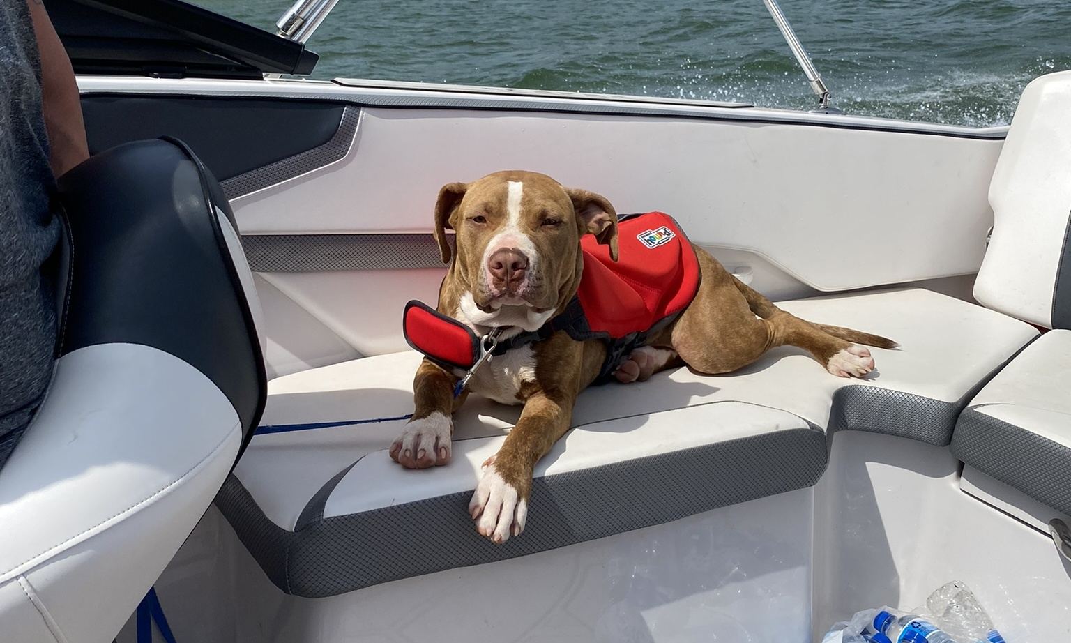 10 Passenger Boat Scarab 215ID On Eagle Mountain Lake